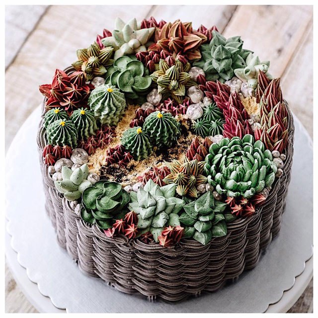 ivenoven succulent cakes the chic flaneuse